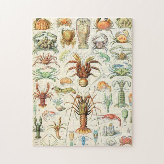 Adolphe Millot Krebstiere Puzzle (Vertikal)