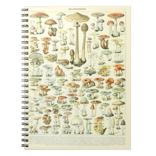 Adolphe Millot Notebook-Mushroom-Muster Notizblock (Vorderseite)