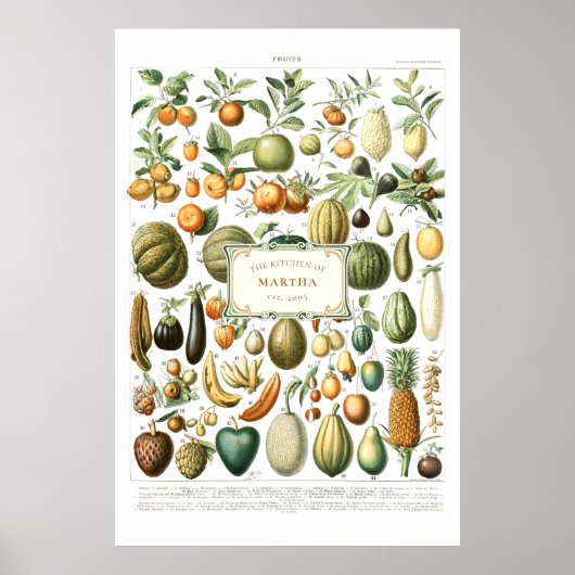 Adolphe Millot Obstposter Poster (Vorne)