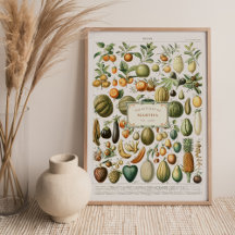 Adolphe Millot Obstposter