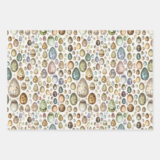 Adolphe Millot Ouefs Eggs Geschenkpapier Set (Vorderseite 2)