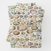 Adolphe Millot Ouefs Eggs Geschenkpapier Set (Beispiel)