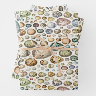 Adolphe Millot Ouefs Eggs Geschenkpapier Set