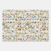 Adolphe Millot Ouefs Eggs Geschenkpapier Set (Vorderseite)