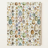 Adolphe Millot Ouefs Eggs Planer (Rückseite)