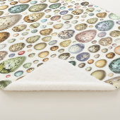 Adolphe Millot Ouefs Eggs Sherpadecke (3/4)