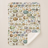 Adolphe Millot Ouefs Eggs Sherpadecke (Vorderseite)