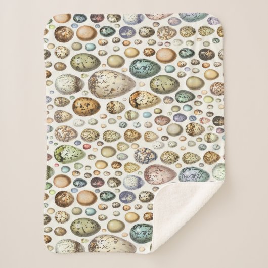 Adolphe Millot Ouefs Eggs Sherpadecke (Vorderseite)