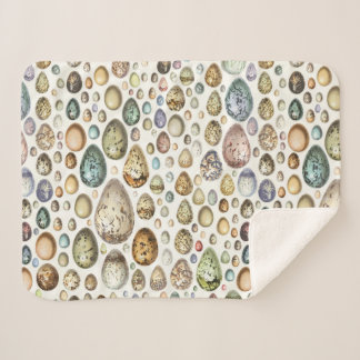 Adolphe Millot Ouefs Eggs Sherpadecke