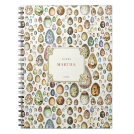 Adolphe Millot Ouffs Eggs Notebook Notizblock