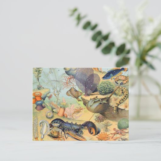 Adolphe Millot Ozean B Postkarte (Stehend Vorderseite)