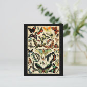 Adolphe Millot Papillons Postkarte (Stehend Vorderseite)