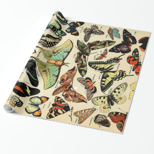 Adolphe Millot Papillons-Wrapapier Geschenkpapier