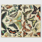 Adolphe Millot Papillons Wrapping Paper Geschenkpapier (Flach)