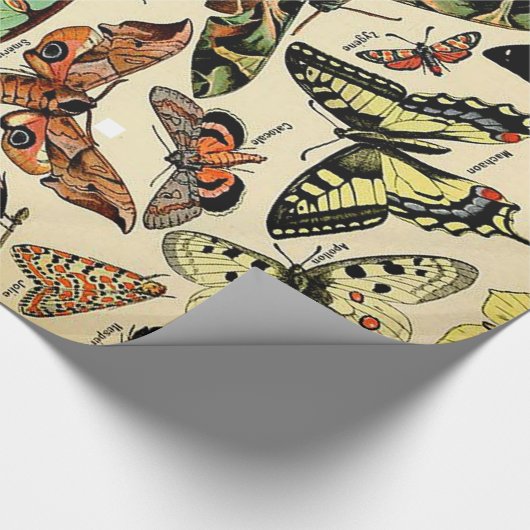 Adolphe Millot Papillons Wrapping Paper Geschenkpapier (Ecke)