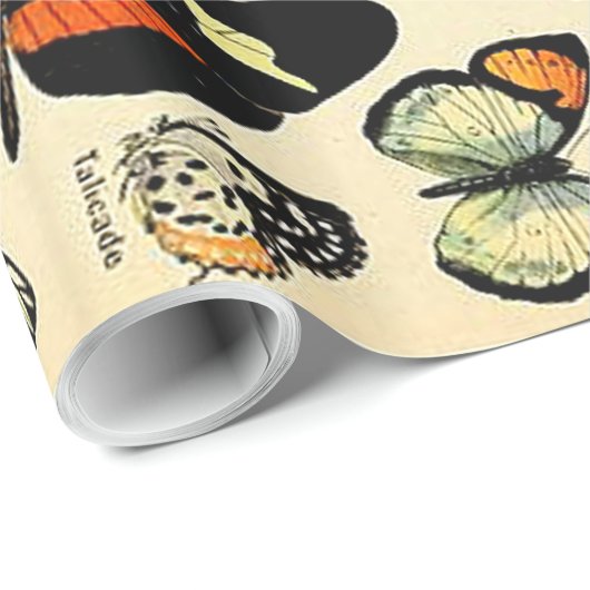 Adolphe Millot Papillons Wrapping Paper Geschenkpapier (Rolleneckpunkt)