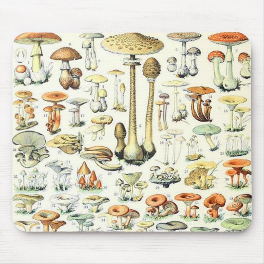 Adolphe Millot Pilz B Mousepad (Vorne)