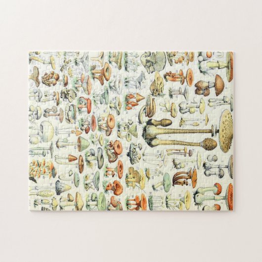 Adolphe Millot Pilz B Puzzle (Horizontal)