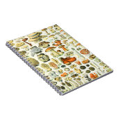 Adolphe Millot Pilz Notizblock (Rechte Seite)