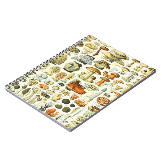 Adolphe Millot Pilz Notizblock (Linke Seite)