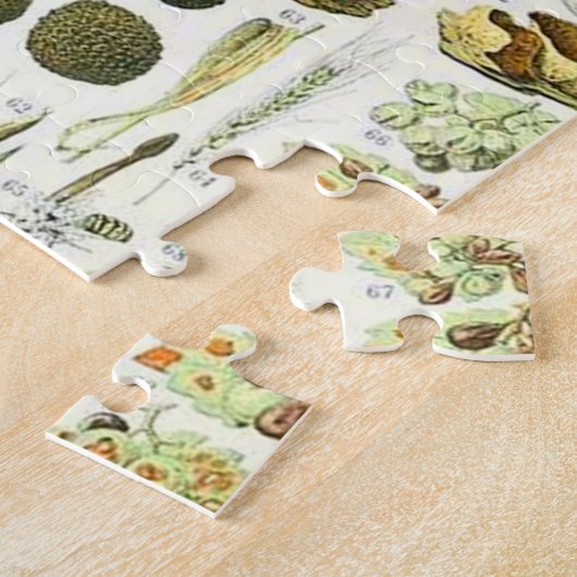 Adolphe Millot Pilz Puzzle (Seite)