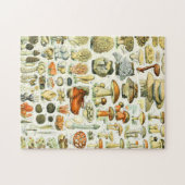 Adolphe Millot Pilz Puzzle (Horizontal)