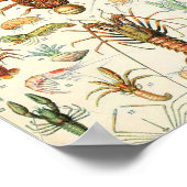 Adolphe Millot Poster (Ecke)