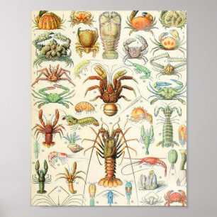 Adolphe Millot Poster