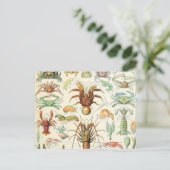 Adolphe Millot Postkarte (Stehend Vorderseite)