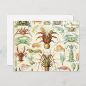 Adolphe Millot Postkarte (Vorne/Hinten)