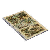 Adolphe Millot Reptile Muster Notebook Notizblock (Rechte Seite)