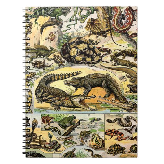 Adolphe Millot Reptiles 1 Notebook Notizblock (Vorderseite)