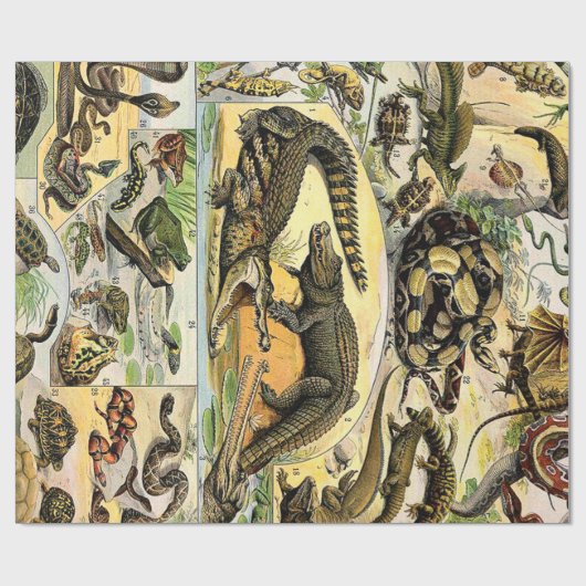 Adolphe Millot Reptiles 1 Wrapping Paper Geschenkpapier (Flach)
