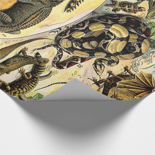 Adolphe Millot Reptiles 1 Wrapping Paper Geschenkpapier (Ecke)
