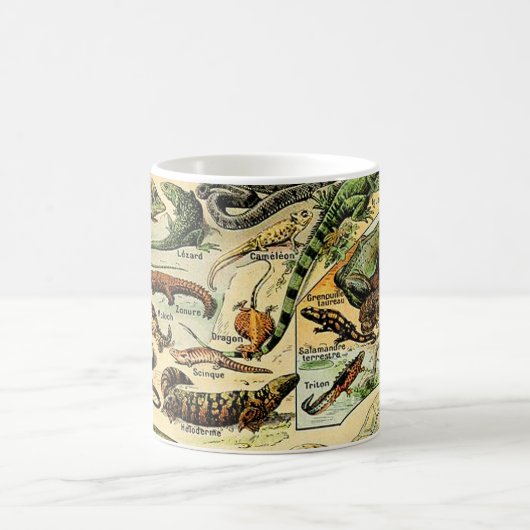 Adolphe Millot Reptiles 2 Tasse (Mittel)