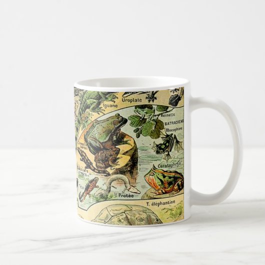 Adolphe Millot Reptiles 2 Tasse (Rechts)