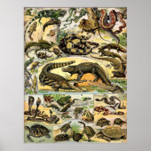 Adolphe Millot Reptiles Poster (Vorne)