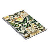 Adolphe Millot Schmetterlinge B Notizblock (Rechte Seite)