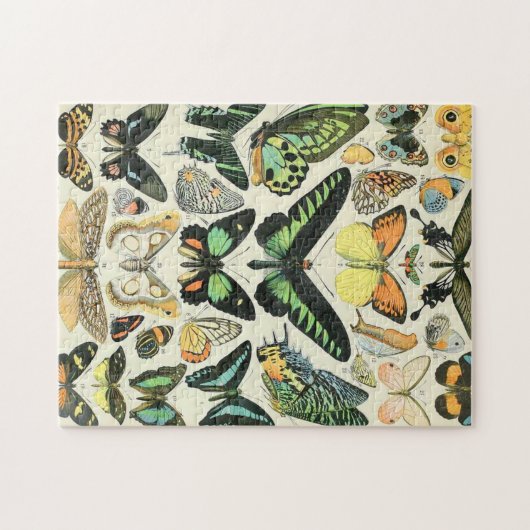 Adolphe Millot Schmetterlinge B Puzzle (Horizontal)