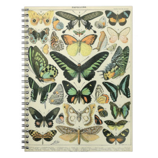 Adolphe Millot Schmetterlinge Pattern-B Notizbuch Notizblock