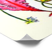 Adolphe Millot ~ Seetang Poster (Ecke)