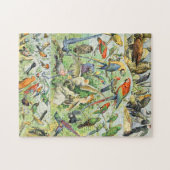 Adolphe Millot Vögel A Puzzle (Horizontal)