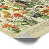 Adolphe Philippe Millot Fleurs Poster (Ecke)