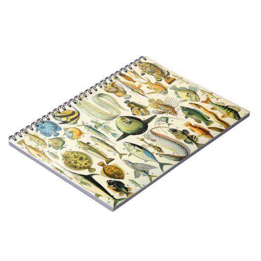 Adolphmehlfisch A Notizblock (Linke Seite)