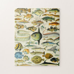 Adolphmehlfisch A Puzzle