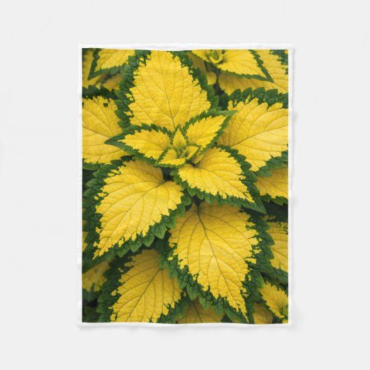 ADOM Gelbe Coleus-Blatt-Pflanzen-Decke Fleecedecke (Vorderseite)