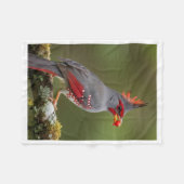ADOM Grau gekrönte Vogeldecke Fleecedecke (Vorderseite (Horizontal))