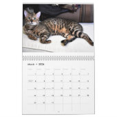 AdonisBengals Kalender 2014 (Mär 2026)