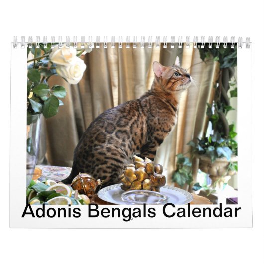 AdonisBengals Kalender 2014 (Titelbild)