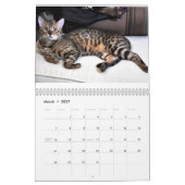 AdonisBengals Kalender 2014 (Mär 2027)